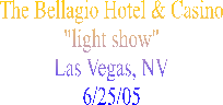 The Bellagio Hotel & Casino
"light show"
Las Vegas, NV
6/25/05