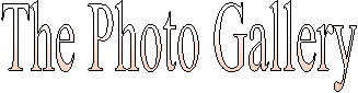 The Photo Gallery