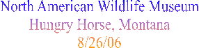 North American Wildlife Museum
Hungry Horse, Montana
8/26/06